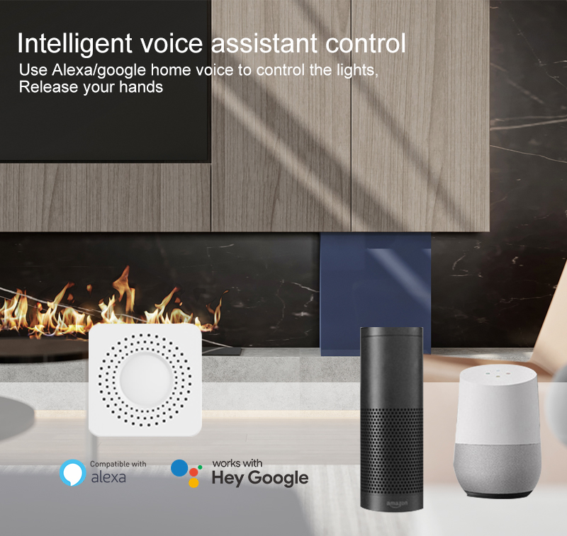 Tuya Mini Smart Switch WiFi 1- - Smart Accessories review and price